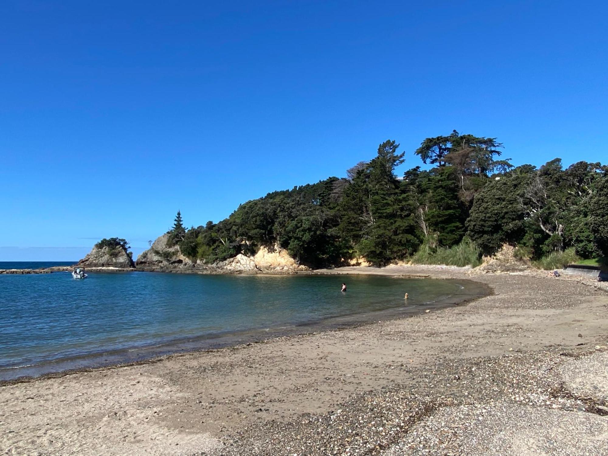 Kereru Cabin - Spectacular Seaviews, Rustic, Glamping Eco Adventure Palm Beach Esterno foto