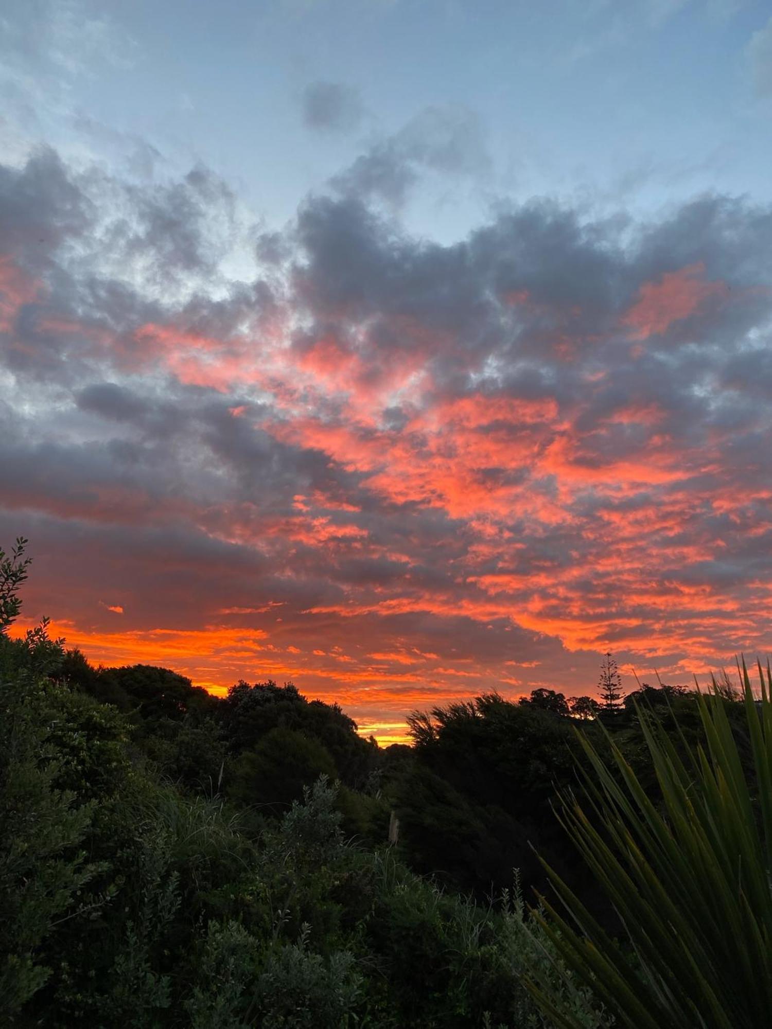 Kereru Cabin - Spectacular Seaviews, Rustic, Glamping Eco Adventure Palm Beach Esterno foto