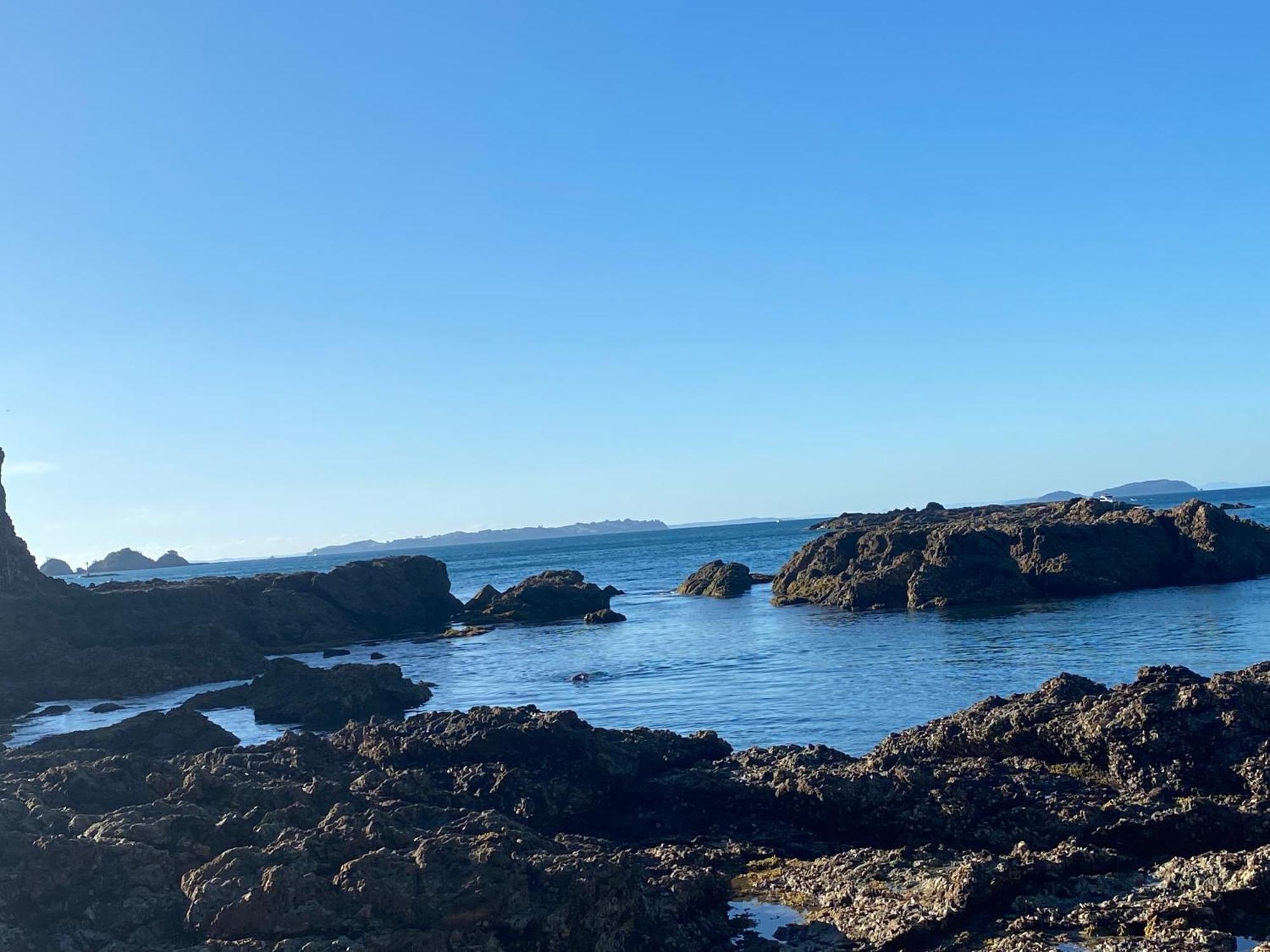 Kereru Cabin - Spectacular Seaviews, Rustic, Glamping Eco Adventure Palm Beach Esterno foto