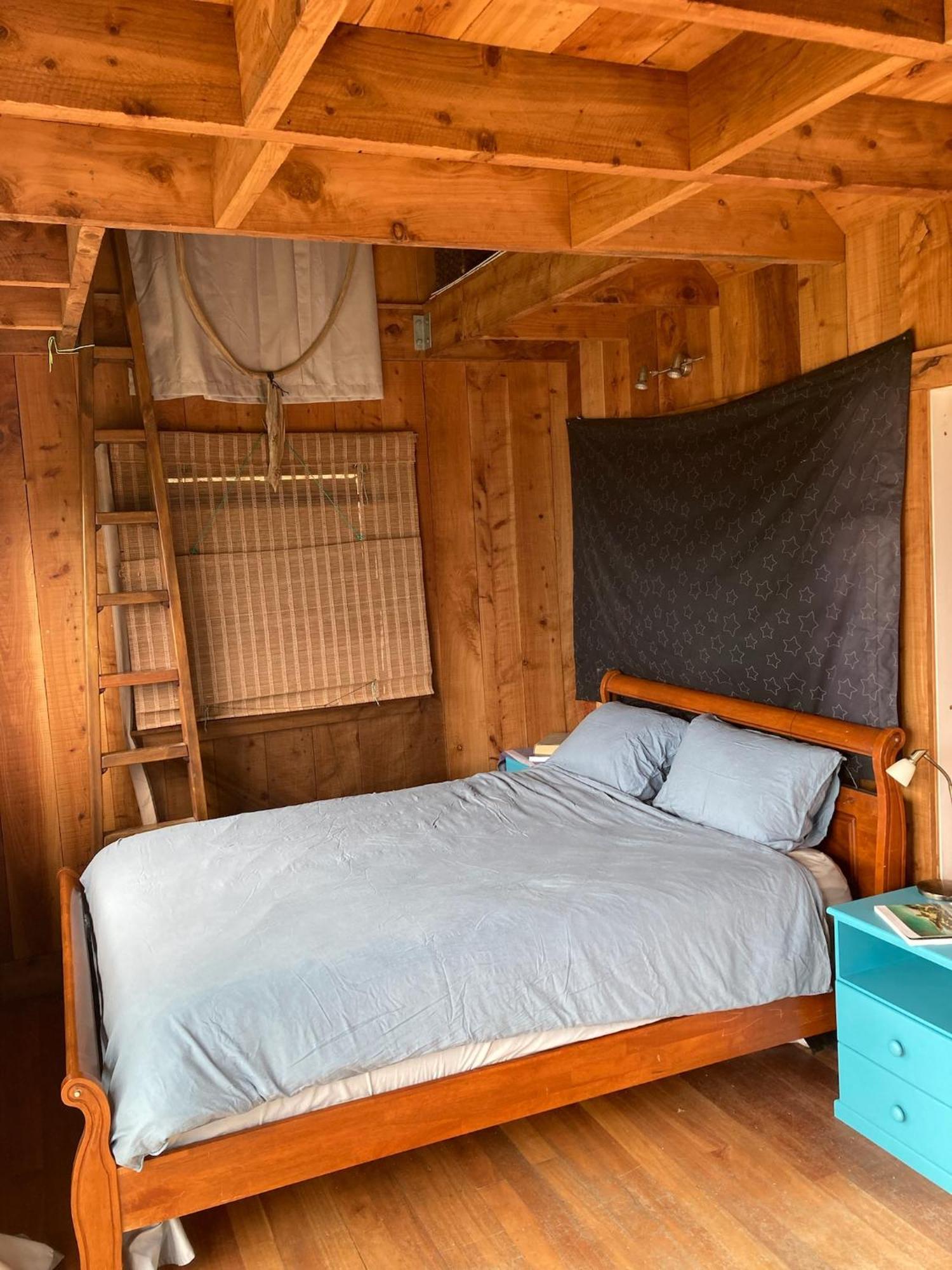Kereru Cabin - Spectacular Seaviews, Rustic, Glamping Eco Adventure Palm Beach Esterno foto